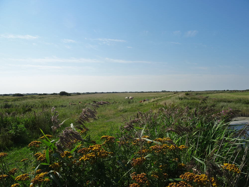 Landschaft auf Mandoe 01