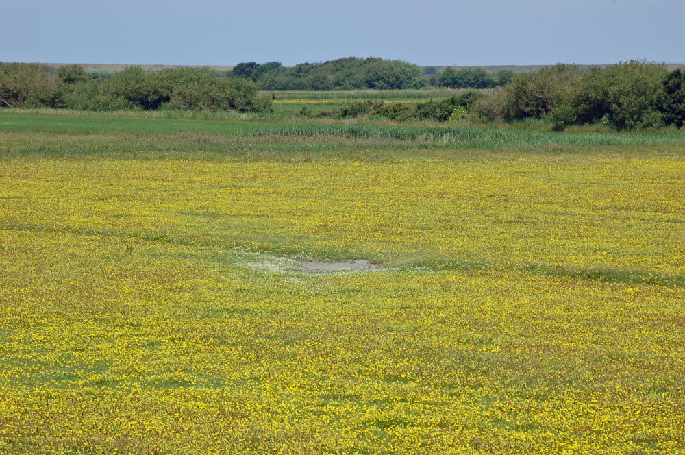 Landschaft auf Mandoe 04