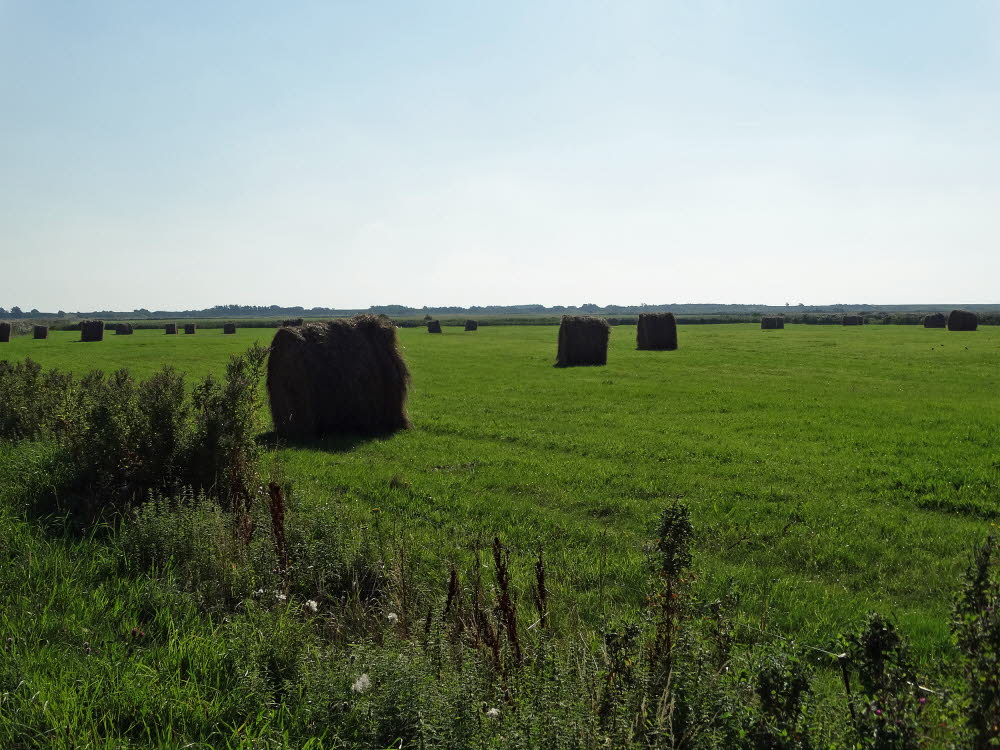 Landschaft auf Mandoe 05