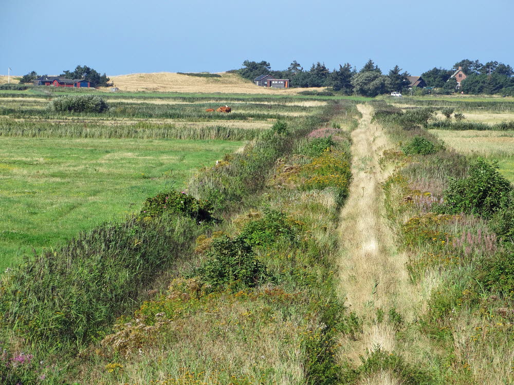 Landschaft auf Mandoe 06