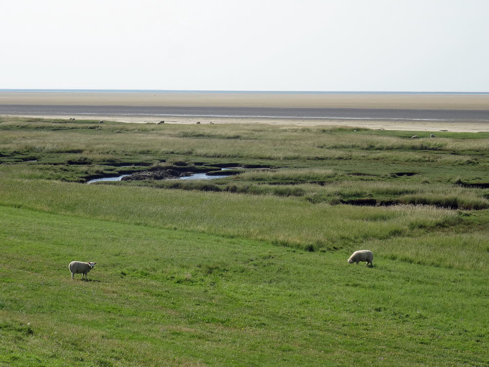 Landschaft auf Mandoe 08