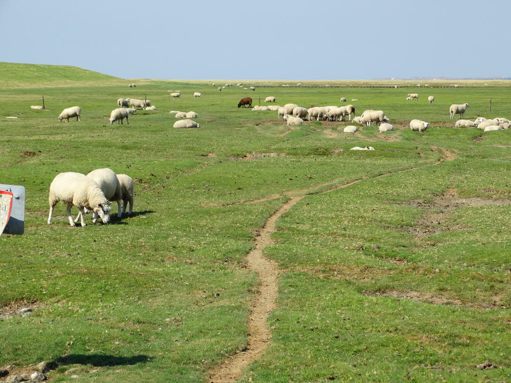 Landschaft auf Mandoe 13