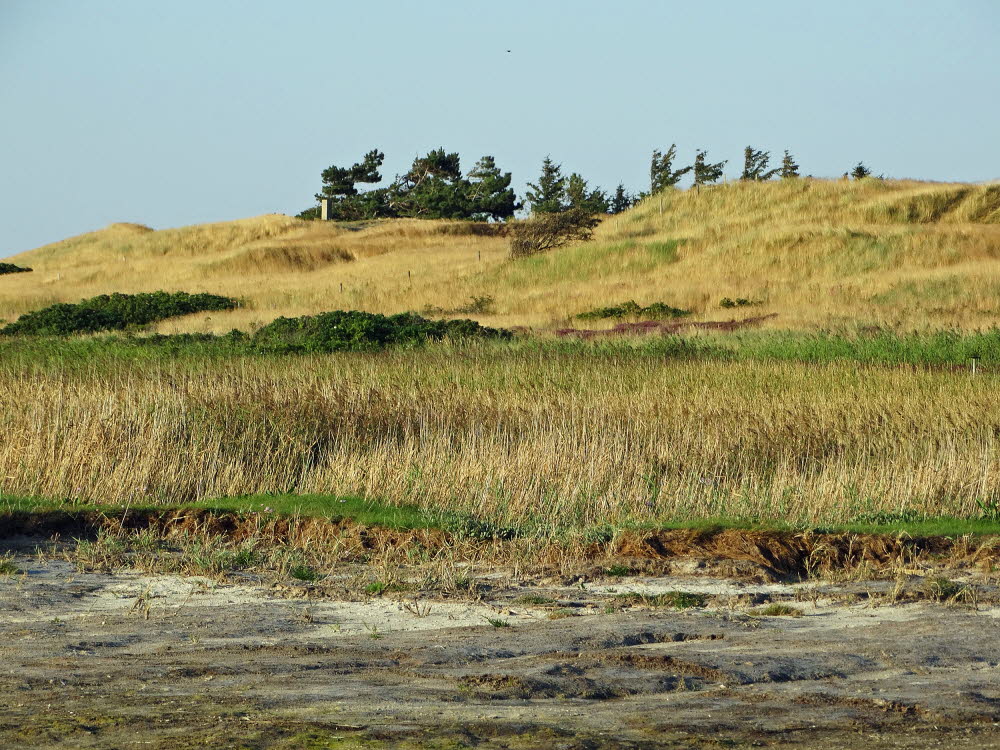 Landschaft auf Mandoe 14