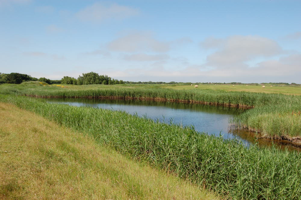 Landschaft auf Mandoe 15