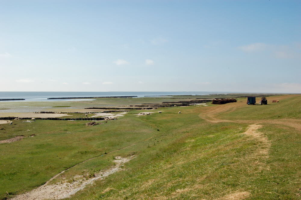 Landschaft auf Mandoe 17