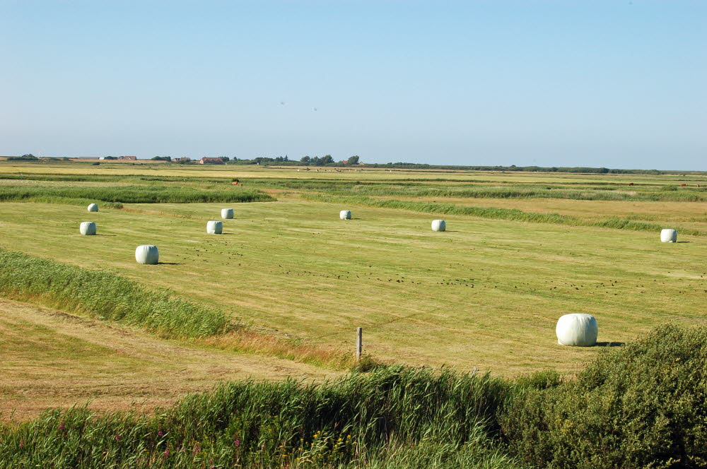 Landschaft auf Mandoe 18