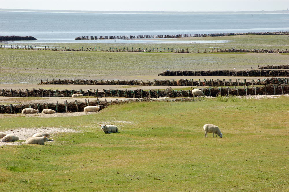 Landschaft auf Mandoe 19