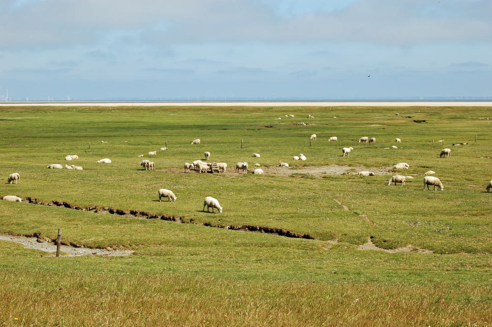 Landschaft auf Mandoe 20