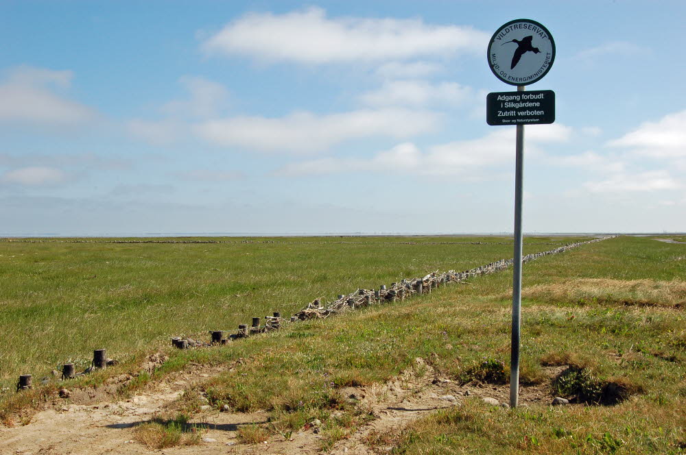 Landschaft auf Mandoe 21