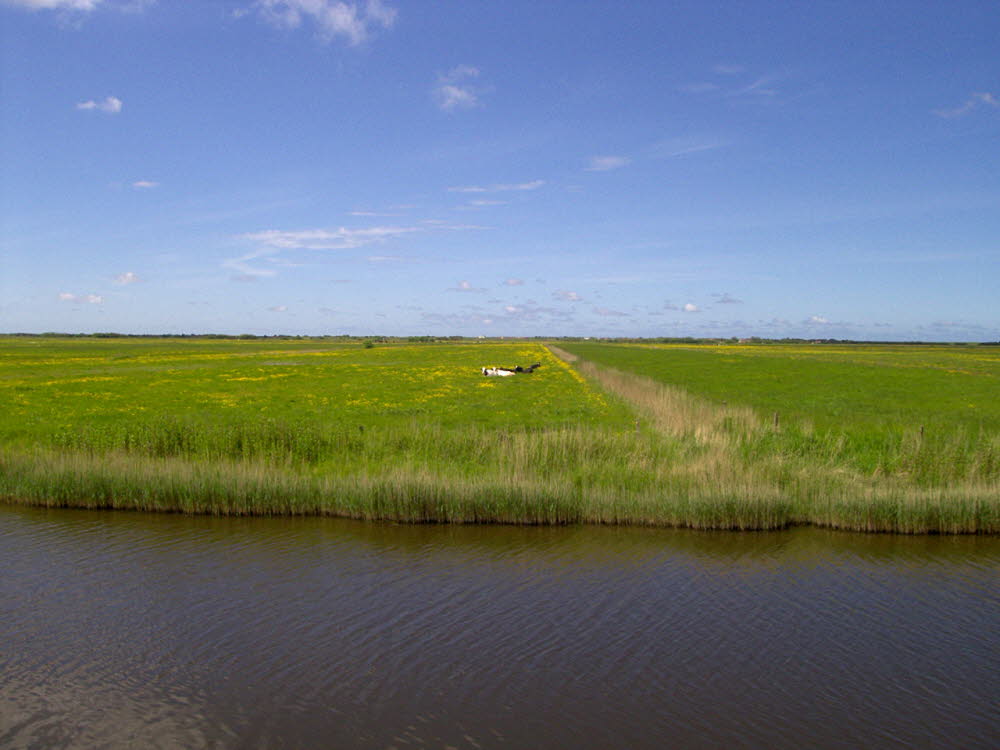 Landschaft auf Mandoe 24