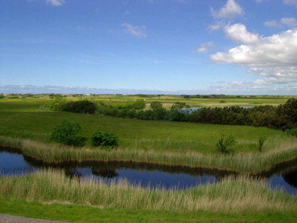 Landschaft auf Mandoe 25