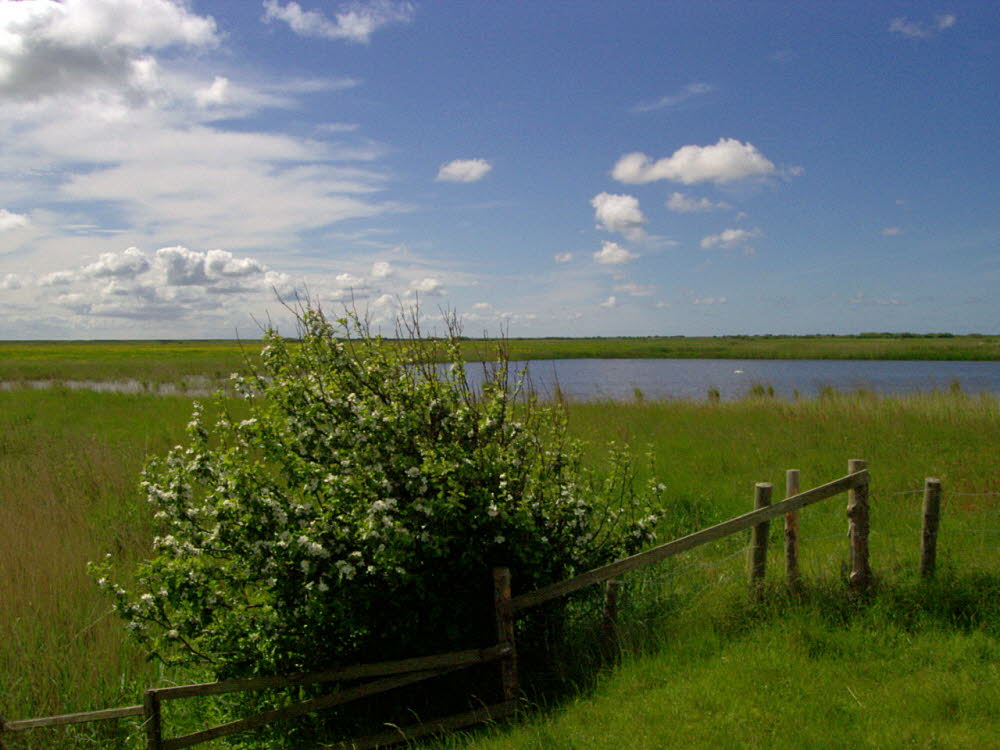 Landschaft auf Mandoe 26