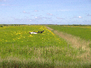 mandoe_bild_59