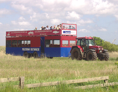 mandoe_buss_02