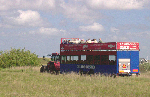 mandoe_buss_04