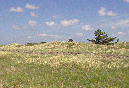mandoe_duenen_02