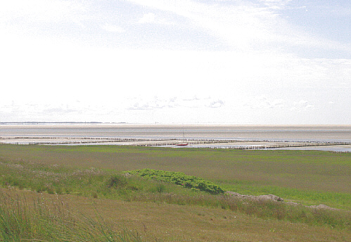 mandoe_strand_0202