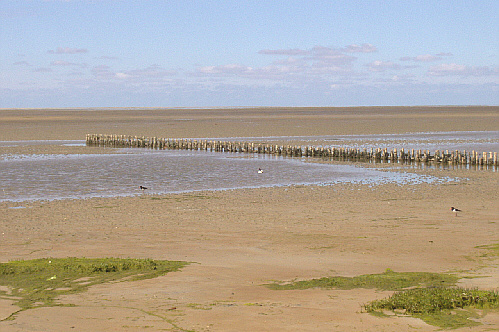 mandoe_strand_03