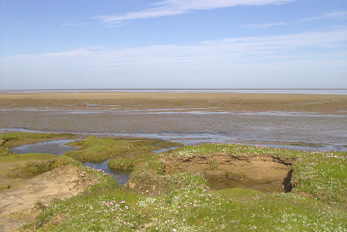 mandoe_wattenmeer_04