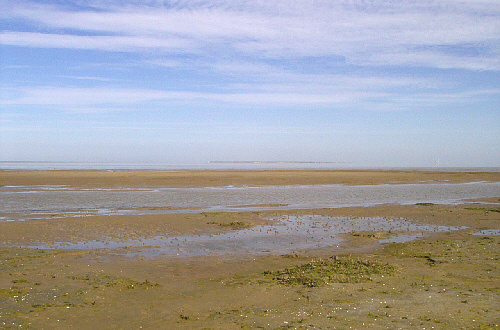 wattenmeer_mandoe_01